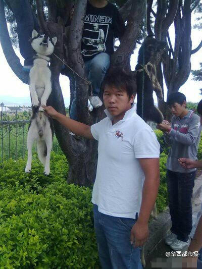 網曝男子虐殺狗照片，回應稱關你屁事。