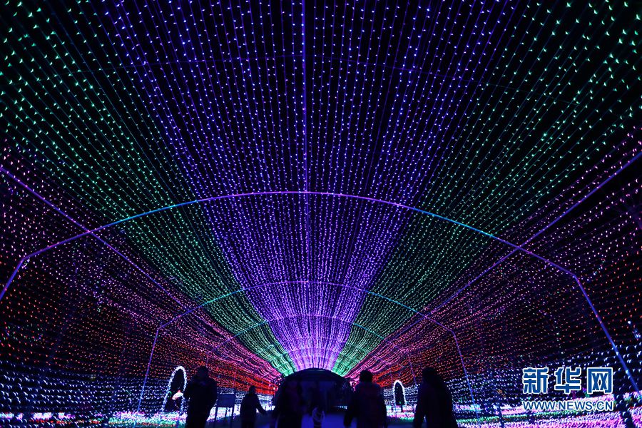 河南溫縣：彩燈璀璨迎新年