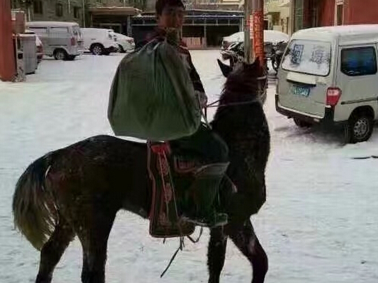 快遞員騎馬送包裹 這才是“蒙古民風”的正確打開方式！