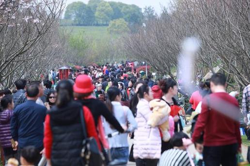 【萬人春游踏青鳳凰溝 千名漫迷扮靚景區(qū)}】