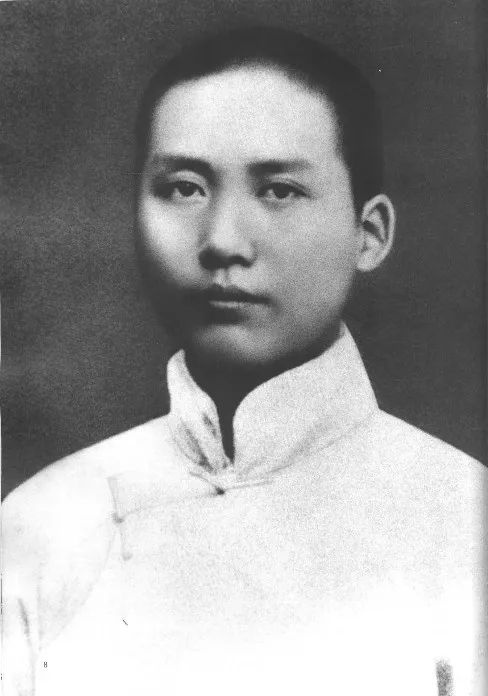 看了不下一百遍、貼身伙伴、入門老師……老一輩革命家紛紛點贊這本書！