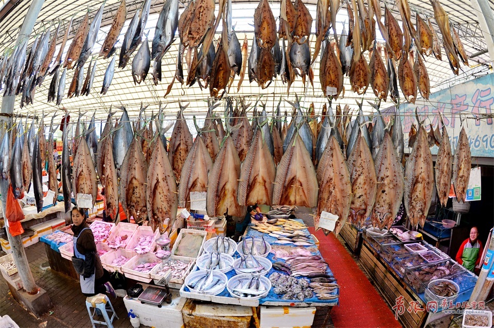 青島進入秋鲅魚晾曬季 空中美味誘人味蕾(圖)