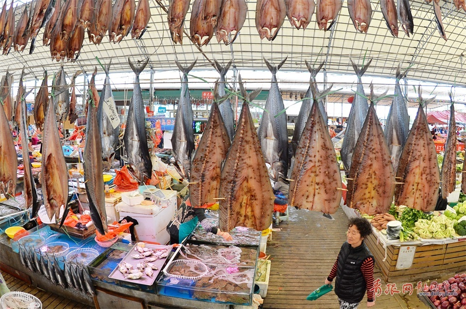 青島進入秋鲅魚晾曬季 空中美味誘人味蕾(圖)