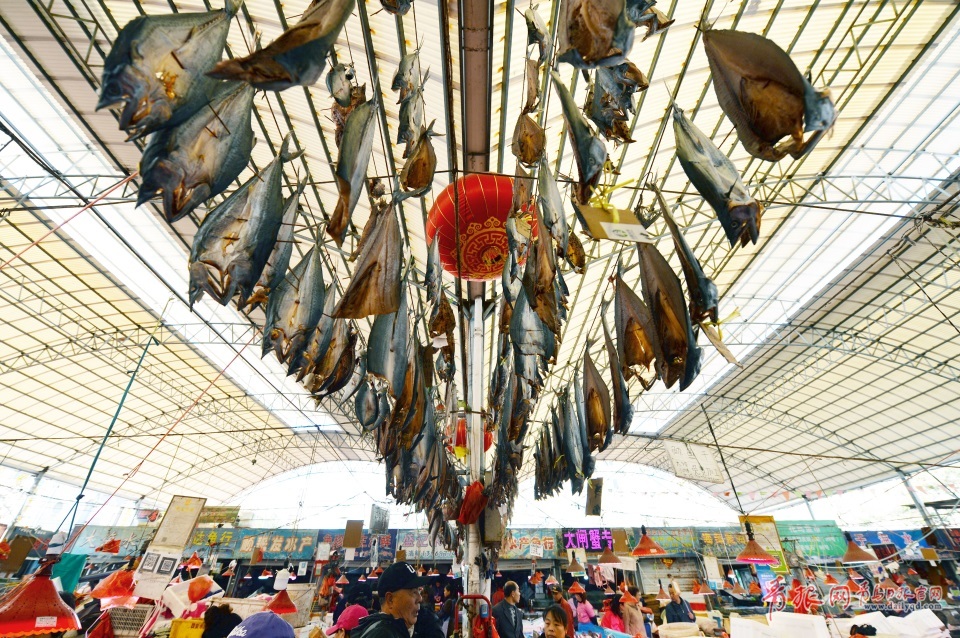 青島進入秋鲅魚晾曬季 空中美味誘人味蕾(圖)